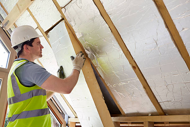 Professional Insulation Contractor in Carson City, MI